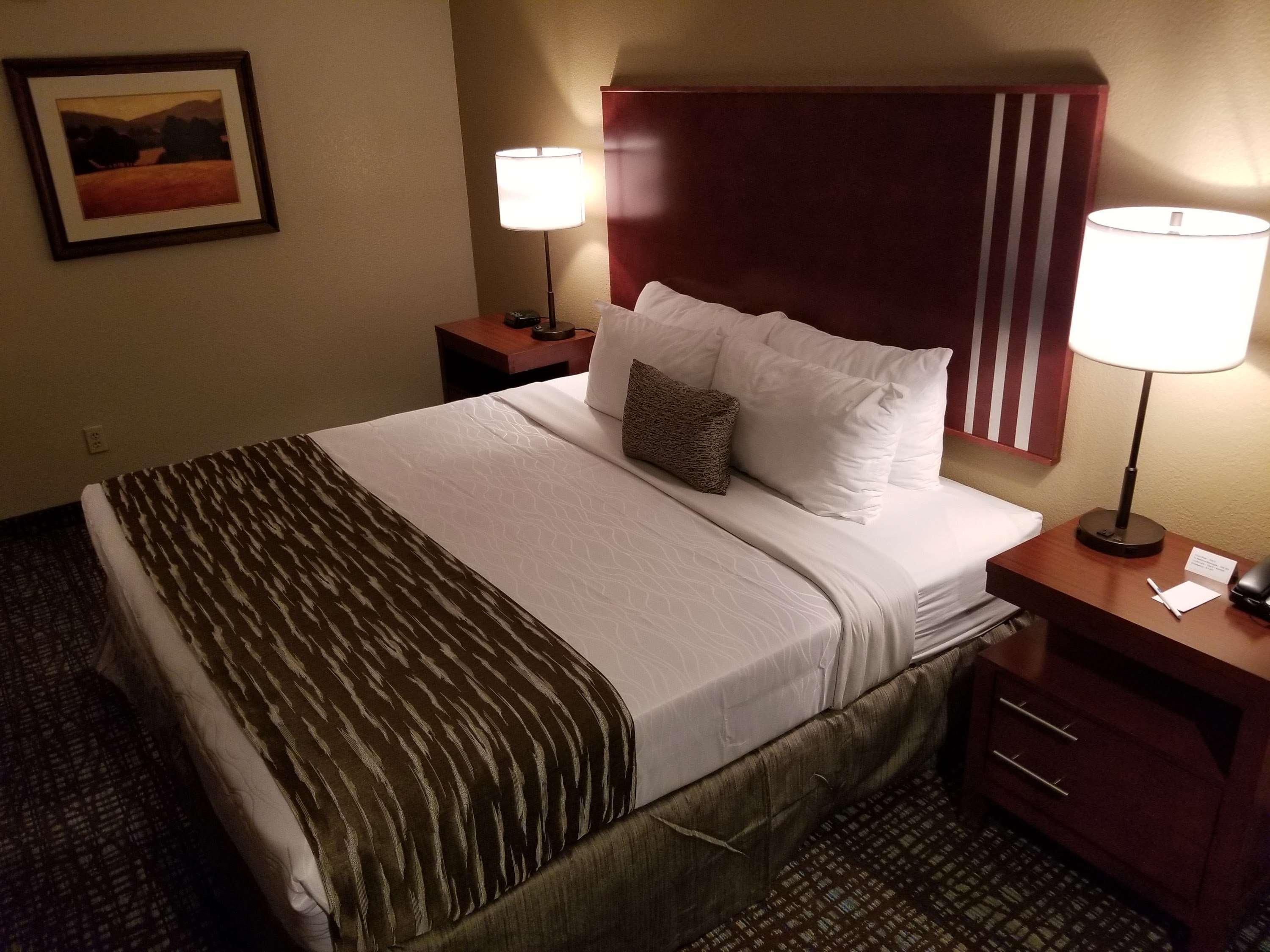 Best Western Plus Palm Court Hotel Davis Exterior foto