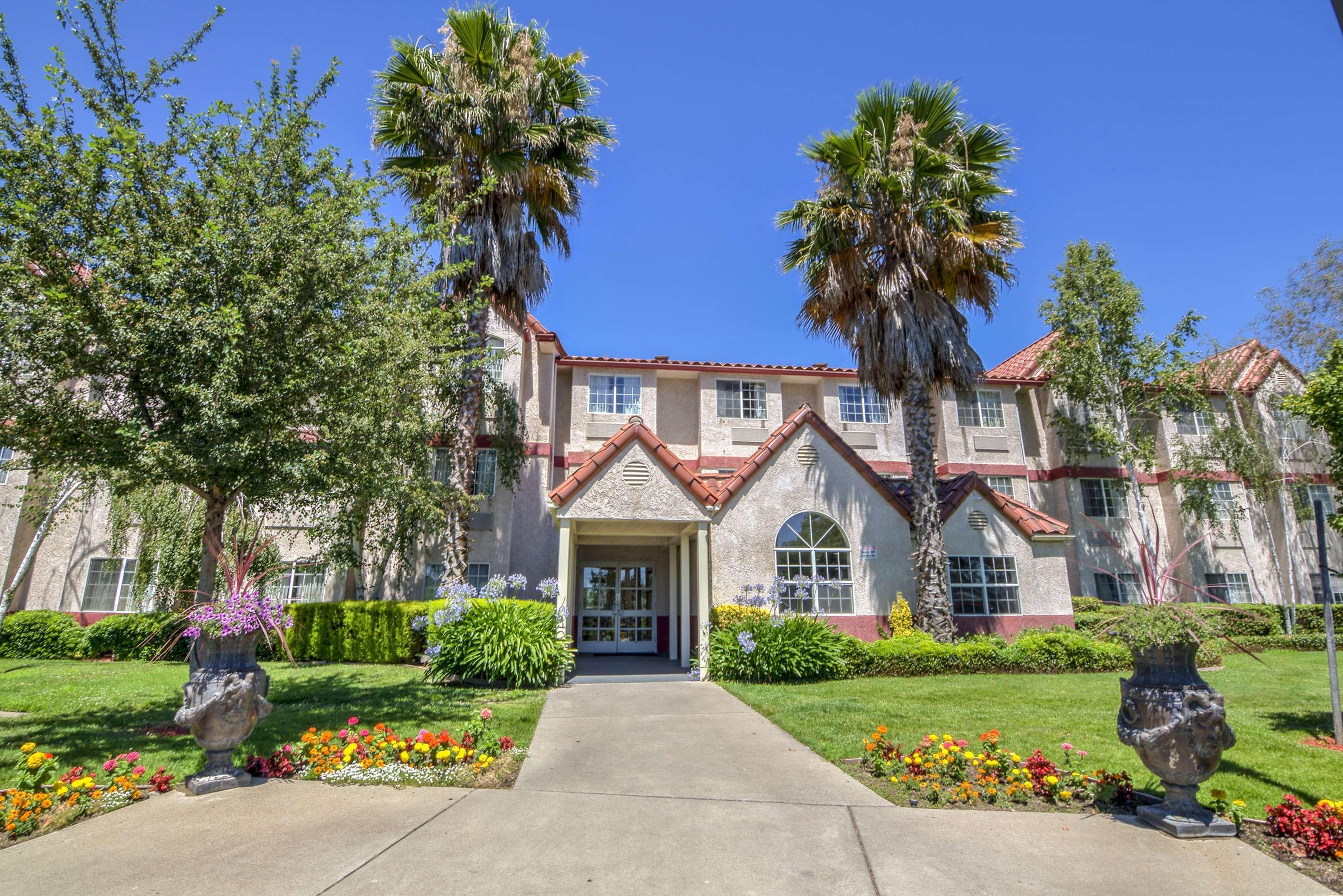 Best Western Plus Palm Court Hotel Davis Exterior foto